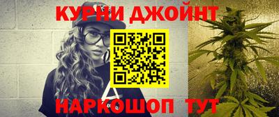 гидра Краснодар